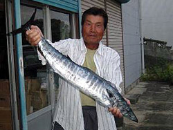 沖サワラ